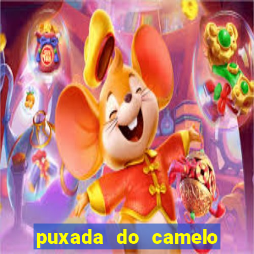 puxada do camelo no jogo do bicho